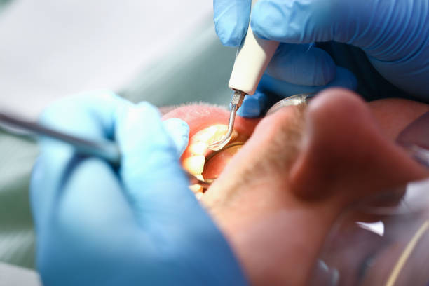 Best Emergency Denture Repair in Ruhenstroth, NV